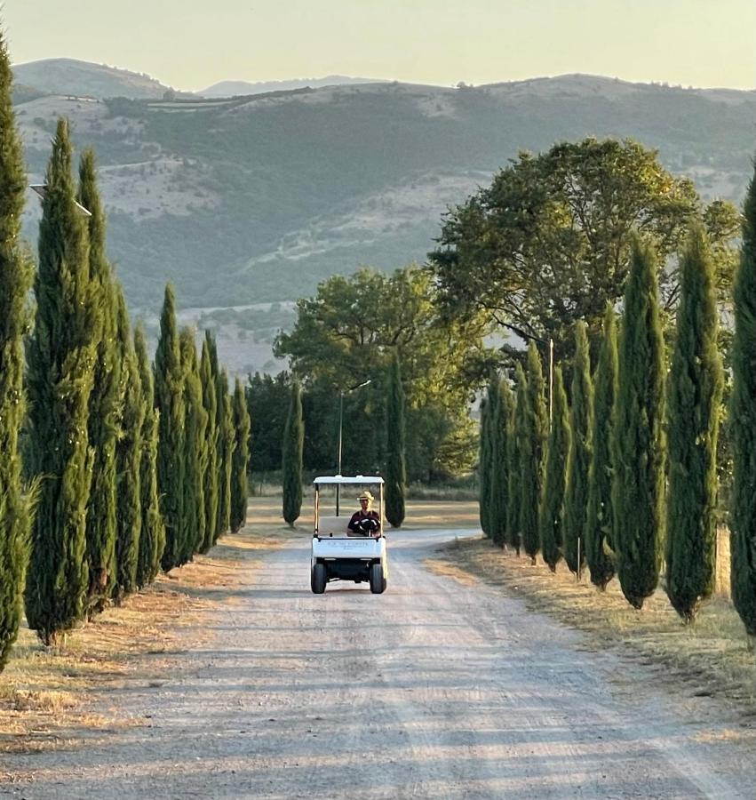 Ca' Del Conte - Maison De Charme Padula Dış mekan fotoğraf